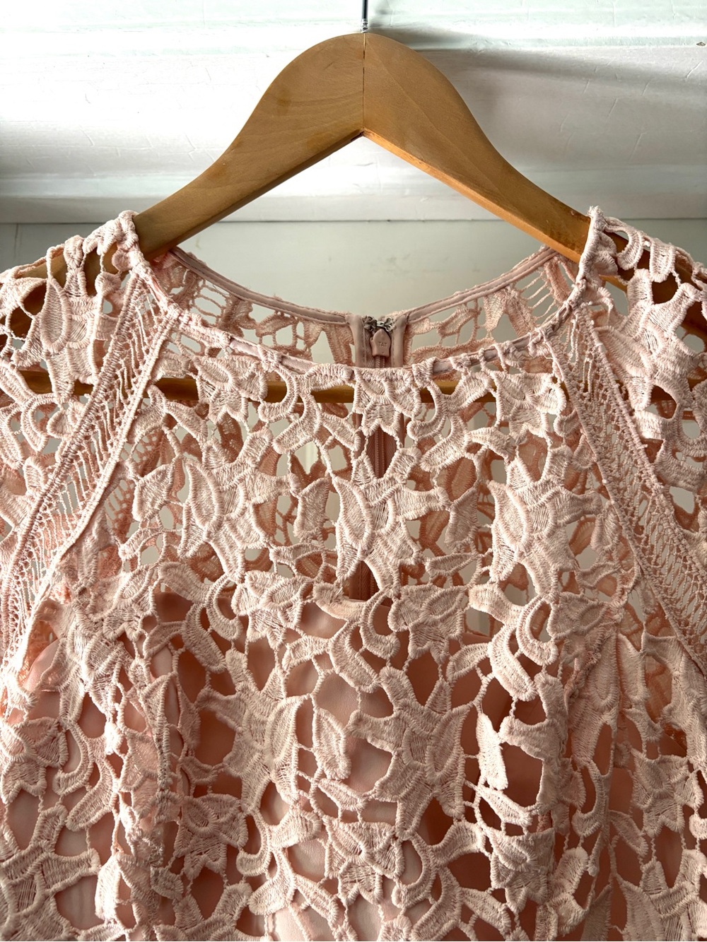 Eliza J Lace Sheath Mini Dress Crochet Lace Overlay Blush Pink Size 4P - Picture 5 of 13